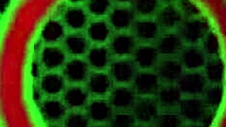 Kayla Paige Julia Ann Lesbian Threesome