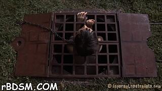 Free Bold Sadomasochism Sex Stories With Bondage And Rough Fucking