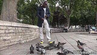 I watch my wife mount that big black cock and bounce