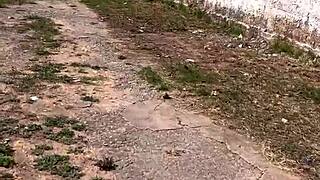 highway prostitute offers free fuck in woods 😈