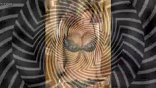 Erotic 30 Mistress Lisa Trigger Implement