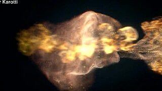 I watch Angela get hard fucked in the anal for an intense orgasm