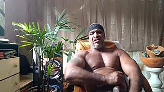 brazilian bear kojac goes solo