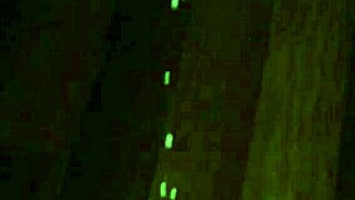 Trim 9805c265-b30b-427e-81a4-7ec7ffdcf4b1 Mov