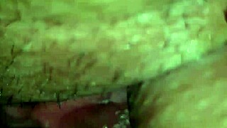 Introduce Entire Cock Doggy Style Outdoor