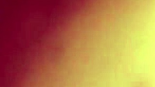 doggy style shot captured with a macro lens