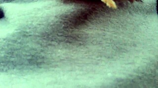 I Show My Breasts in a Public Garden and Then Wet My Tight Pants.