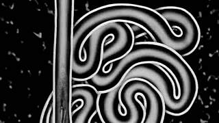 The Forbidden Zone Full Movie 1982 Featuring Danny Elfman