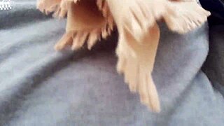 I Show My Breasts in a Public Garden and Then Wet My Tight Pants.