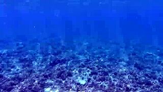 Beauty gives speech and shows off huge dildo.