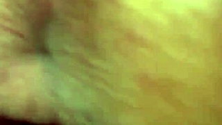 Skinny girl bounces on my cock passionately.