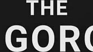 Roommates share close moments in german hostel dorm