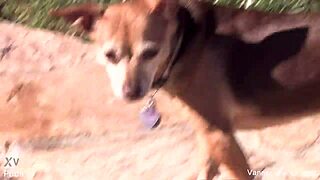 What does Vanessa Cage do backstage?