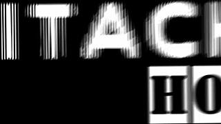 good moaning - ditria rose