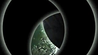 Trailer for halloween sex in haunted house with bodybuilder bride