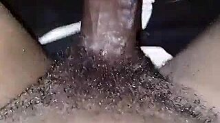 Iamkingsnake Ig Compilation Of Wet African Teen Pussies