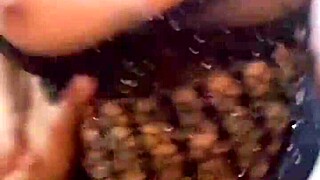 She Wanna Fuck And Record