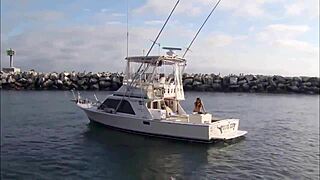 Super shark bikini girl on boat adventure