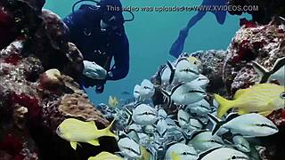 Super shark bikini girl on boat adventure