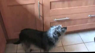 Busty Housewife In Stockings And High Heels.