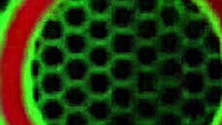 Captivating Milf Sara Jay Masturbates Her Hard Nipples