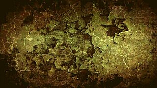 dark lantern entertainment presents vintage women of the world from my secret life the erotic confessions of a victorian english gentleman!