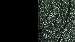 Snuck to stepbro's room feeling super horny...