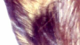 Stepbrother Creampies Sister-in-Law Deep Part 2