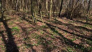 Imagine My Juicy Ass While You Jerk Off in the Wild Outdoors