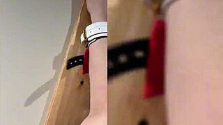 wanna watch me get fucked hard in harness by luna doll in sm room?