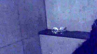 my asian slut wife vibes hard in gym shower with dildo