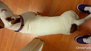 Christy mack moans hard in backstage pussy pounding