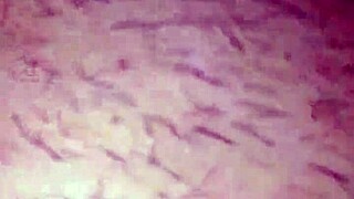 first time licking wife's juicy hairy pussy closeup homemade creampie