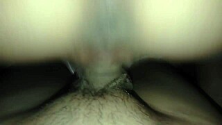 Pretty shaved pussy spread wide for cock sucking then tight creampie blast
