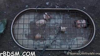 T-Beauty's Fuck Holes Stuffed Hardcore With Toys