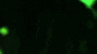 girl moans loud during outdoor pussy pounding