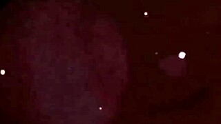 Vintage Erotic Illustrations of Hairy Lesbians in Retro Passion!