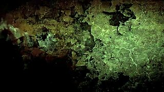 Vintage Erotic Illustrations of Hairy Lesbians in Retro Passion!