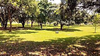 Public Ass Craving Hits Hard: Vagninho and Luna Oliveira Bareback Doggystyle in Forbidden Spots Till She Pees