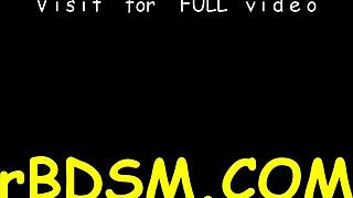 Bound Chicks' Tits Shocked and Shaved Twats Prodded