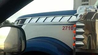 aussiefox hangs out and plays around with those truckers casually