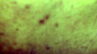 I savor this redbone milf's sweet pussy