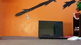 Watch me play around with my favorite dildo toy for some bisexual fun.