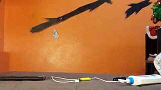 Watch me play around with my favorite dildo toy for some bisexual fun.