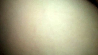 another quick romp with my ex-wife