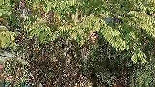 mature wife spreads huge shaved pussy lips in secret outdoor garden