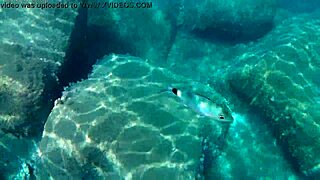 fish slurps up thick cum for liquid lunch