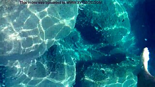 fish slurps up thick cum for liquid lunch