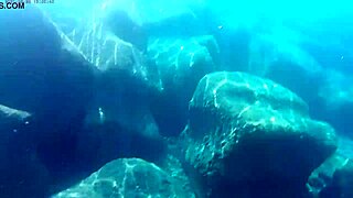 fish slurps up thick cum for liquid lunch