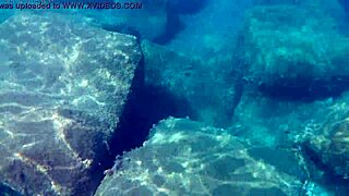 fish slurps up thick cum for liquid lunch